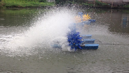 Vad bestämmer layouten på fiskdammsluftare