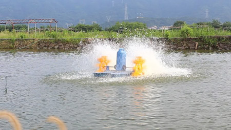 Val och installation av fiskdammsluftare